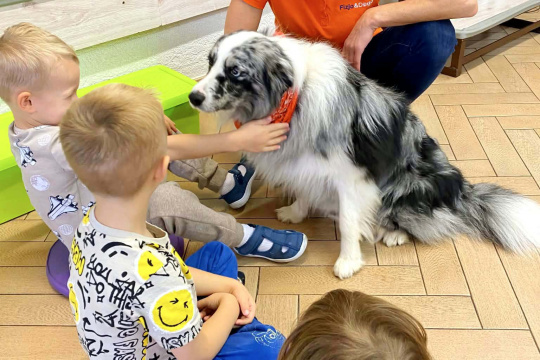 Tytuł zastępczy