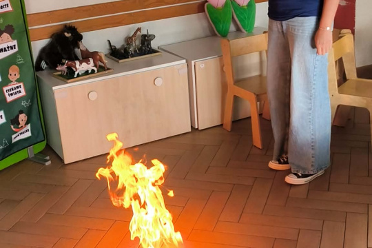 Tytuł zastępczy