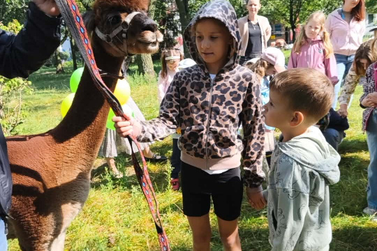 Tytuł zastępczy