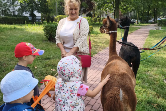 Tytuł zastępczy