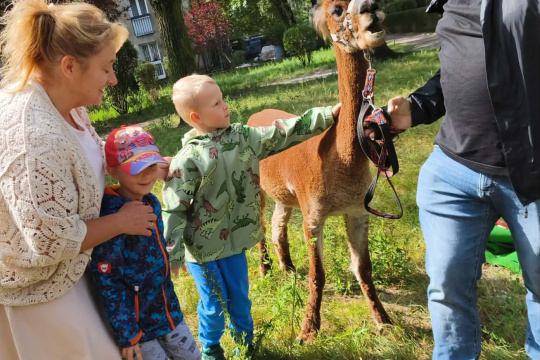 Tytuł zastępczy