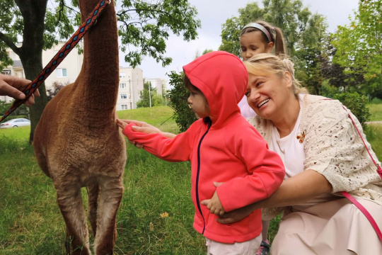 Tytuł zastępczy