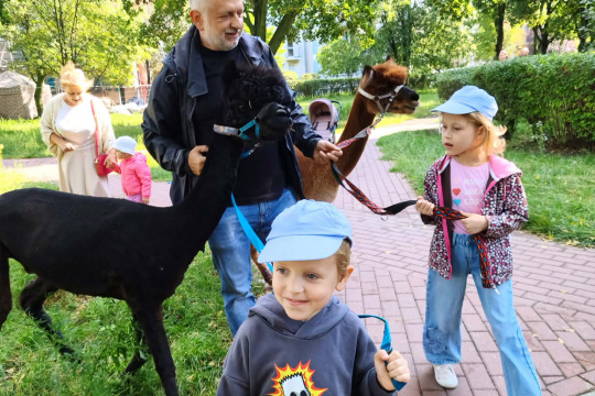 Tytuł zastępczy