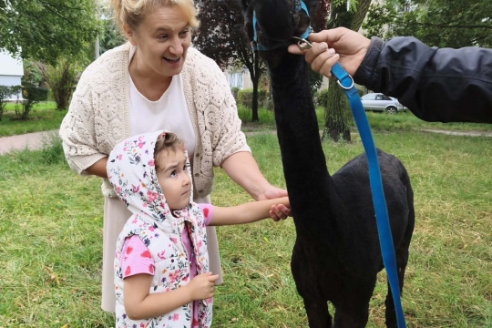 Tytuł zastępczy