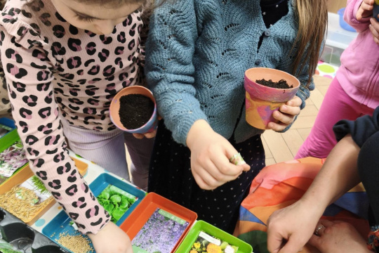 Tytuł zastępczy