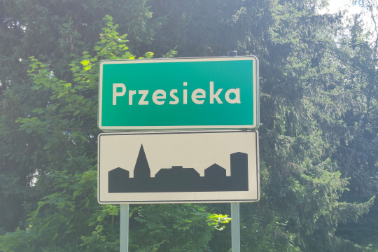 Tytuł zastępczy