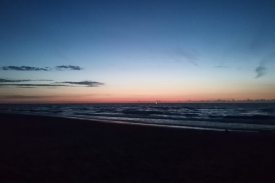 Tytuł zastępczy