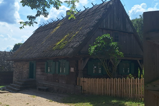 Tytuł zastępczy