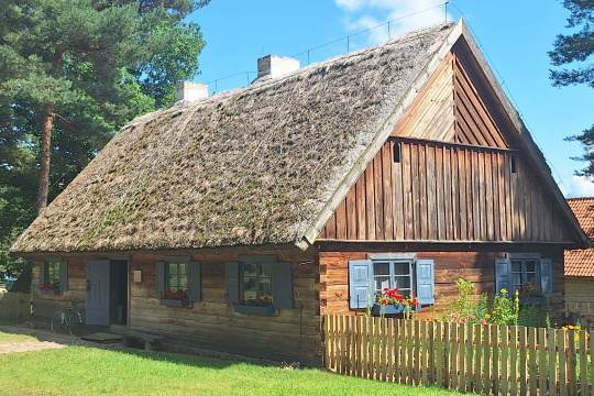 Tytuł zastępczy