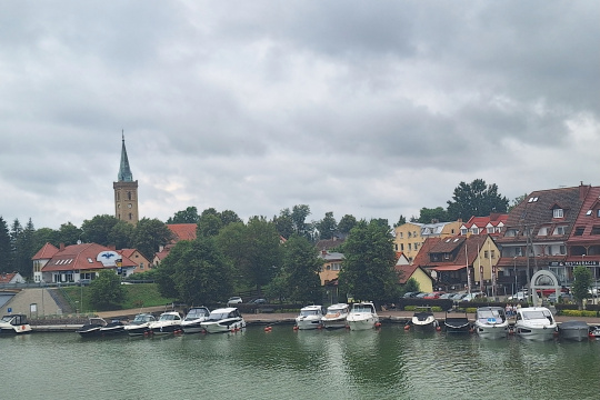 Tytuł zastępczy