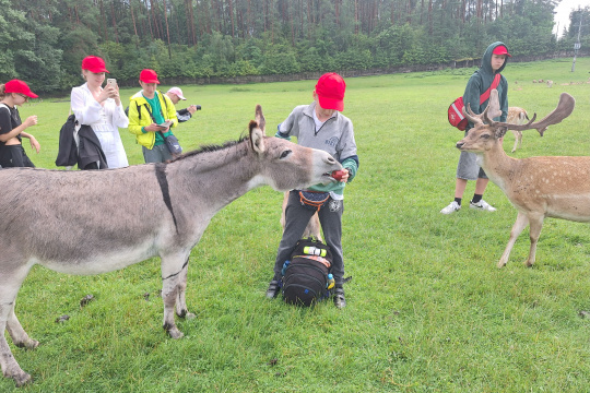 Tytuł zastępczy
