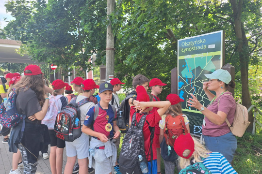 Tytuł zastępczy