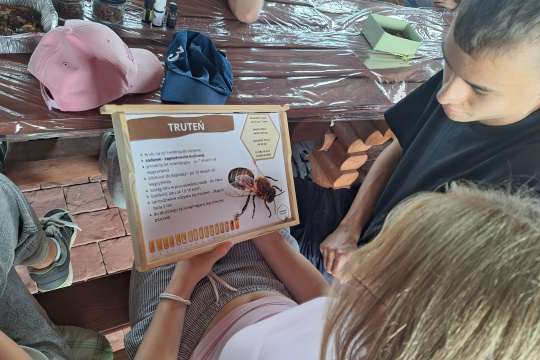 Tytuł zastępczy