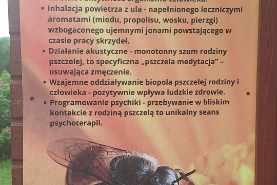 Tytuł zastępczy
