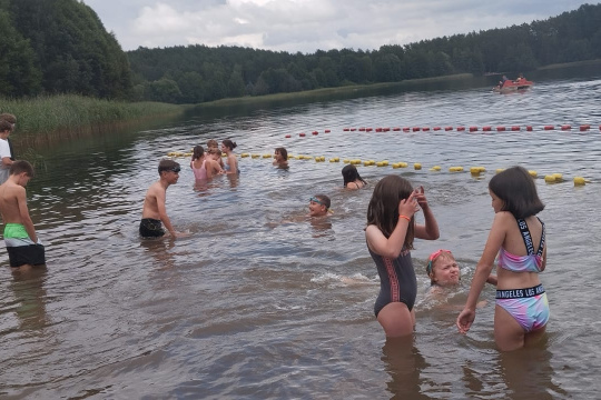 Tytuł zastępczy