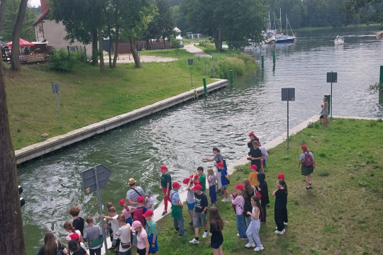 Tytuł zastępczy