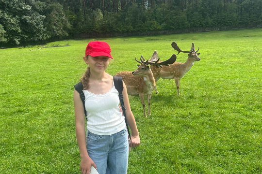 Tytuł zastępczy