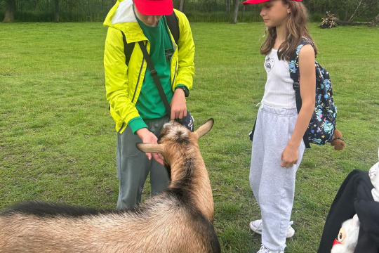 Tytuł zastępczy