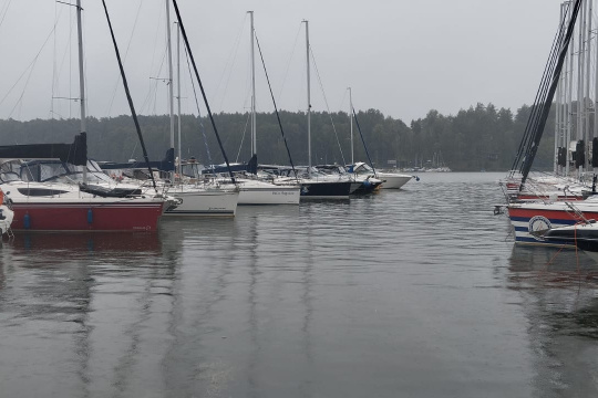 Tytuł zastępczy