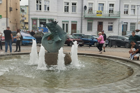 Tytuł zastępczy