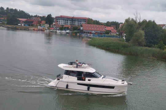 Tytuł zastępczy