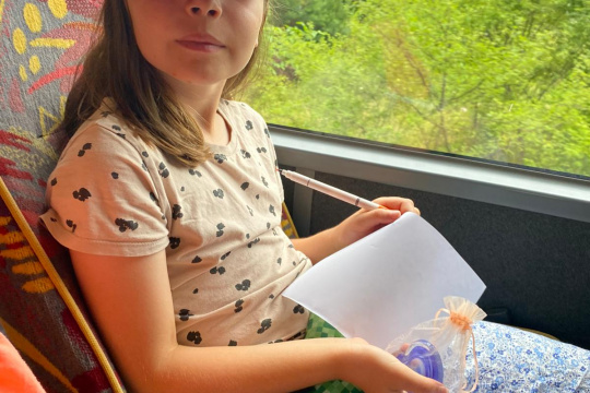 Tytuł zastępczy