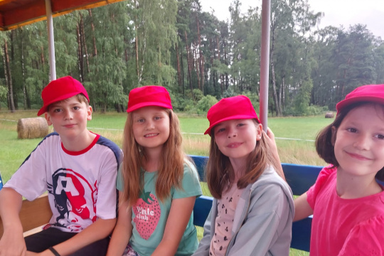 Tytuł zastępczy