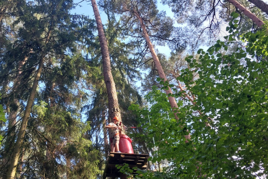 Tytuł zastępczy