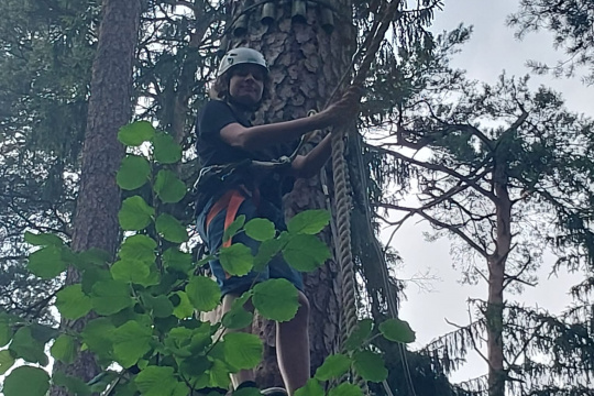 Tytuł zastępczy