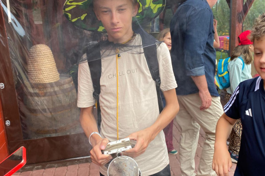 Tytuł zastępczy