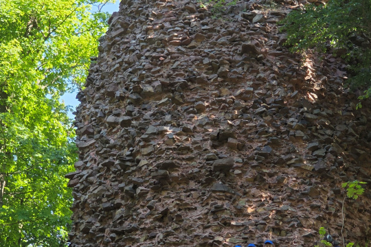 Tytuł zastępczy